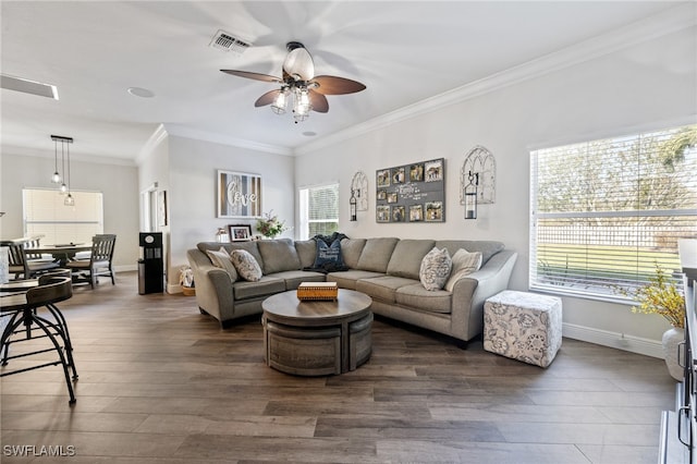 living room featuring ceiling fan, crown molding, and dark hardwood / wood-style floors