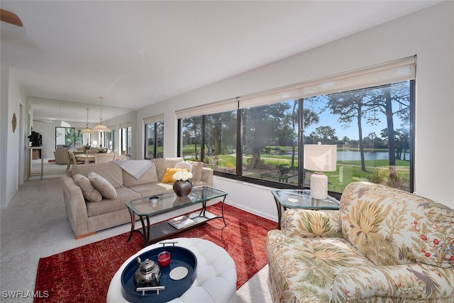 carpeted living room with a water view