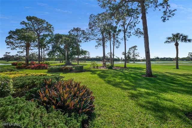 view of community featuring a lawn