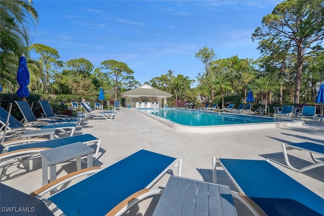 view of pool featuring a patio