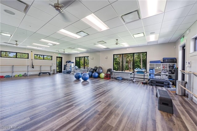 workout area featuring a paneled ceiling, hardwood / wood-style flooring, and ceiling fan