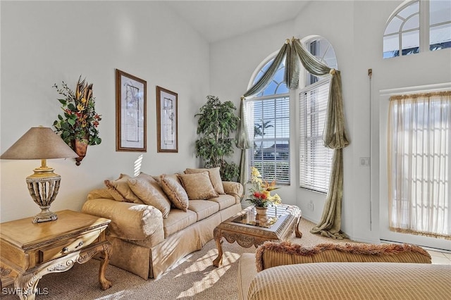 view of carpeted living room