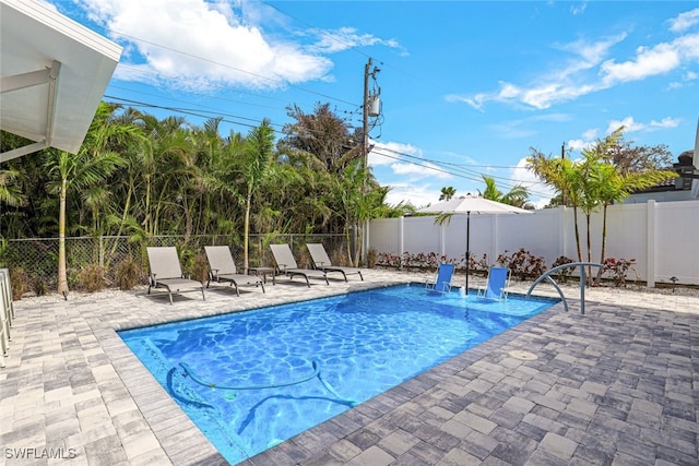 view of swimming pool featuring a patio area