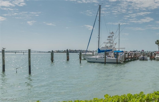 dock area with a water view