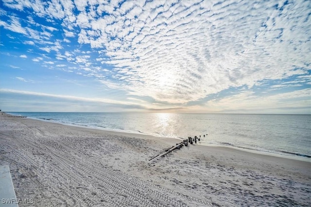 property view of water featuring a beach view