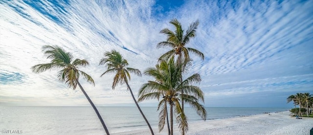 property view of water featuring a beach view