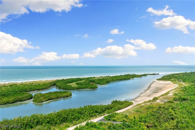 water view with a view of the beach