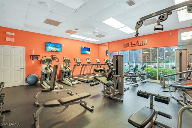 gym with ceiling fan and a drop ceiling