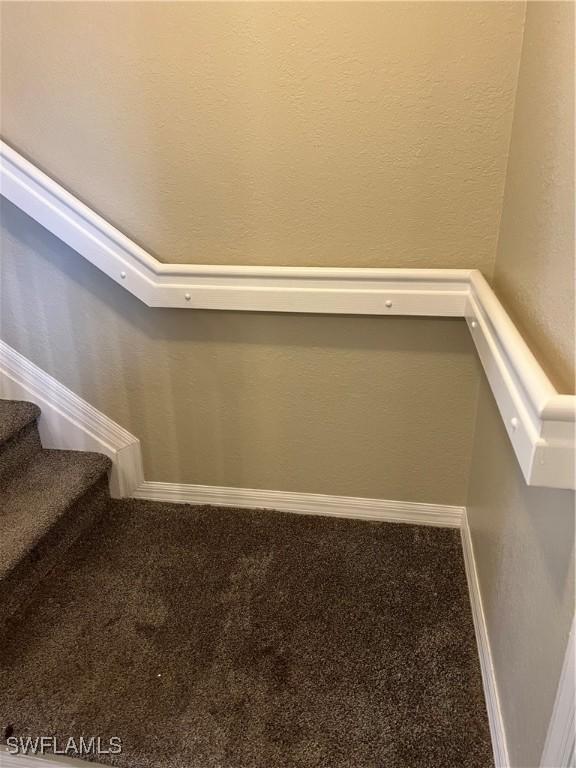 stairway with carpet flooring