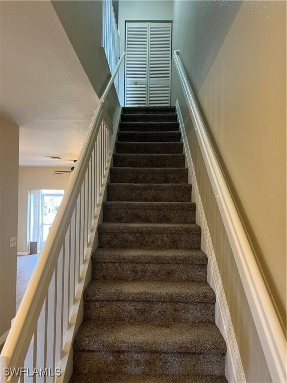 stairs with carpet flooring