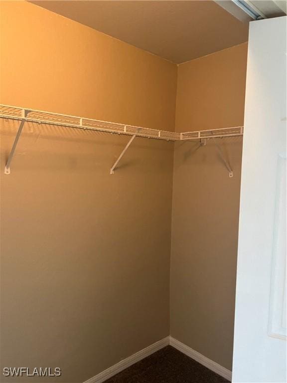 view of walk in closet