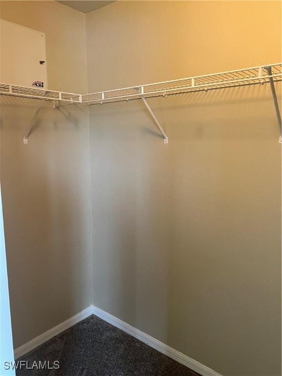 walk in closet with carpet