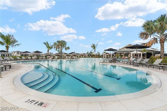 view of swimming pool with a patio