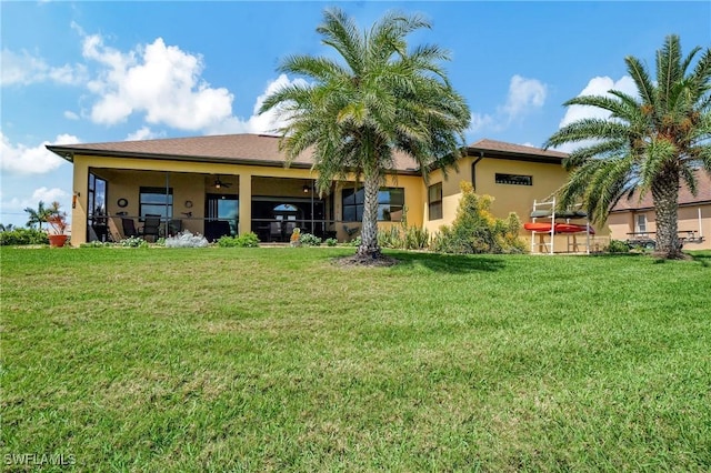 rear view of property with a yard