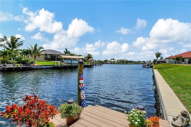 dock area with a water view