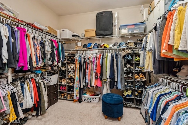 walk in closet with carpet flooring