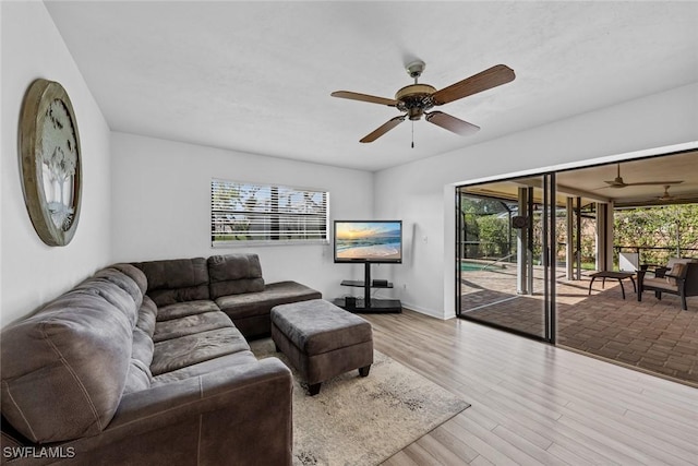 living room featuring ceiling fan, light hardwood / wood-style floors, and a wealth of natural light