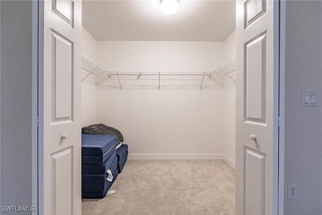 walk in closet with light carpet