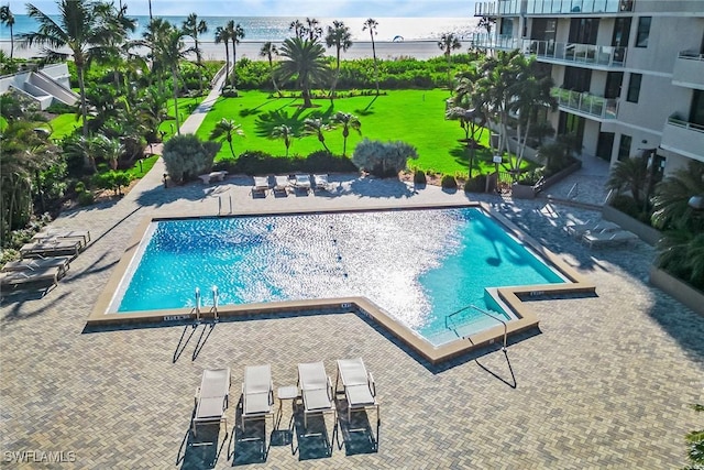 view of swimming pool featuring a patio area