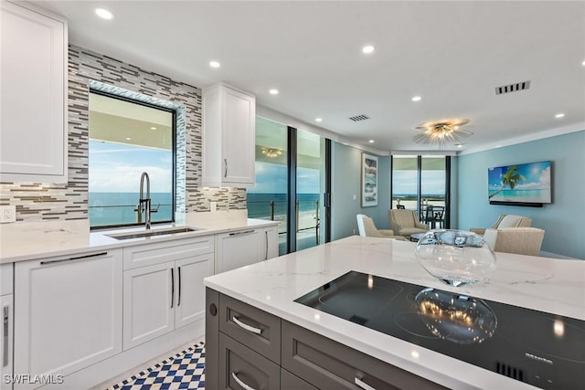 kitchen with sink, a water view, white cabinetry, and light stone counters