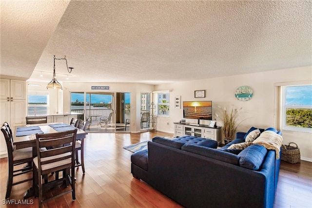 living room with a textured ceiling, hardwood / wood-style flooring, and a wealth of natural light