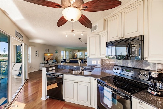 kitchen featuring kitchen peninsula, a healthy amount of sunlight, sink, and black appliances