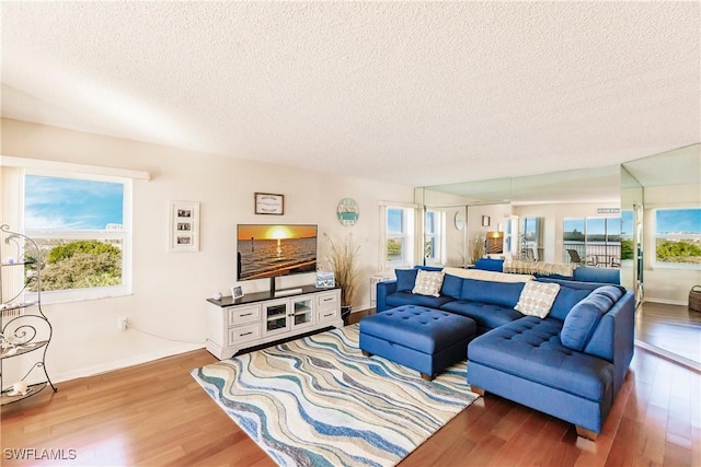 living room with a textured ceiling and hardwood / wood-style flooring