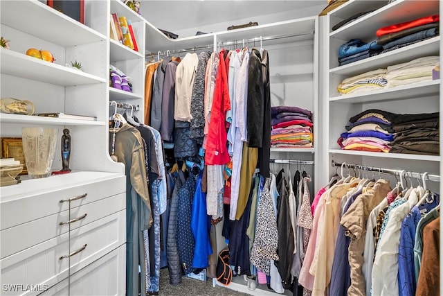 view of walk in closet