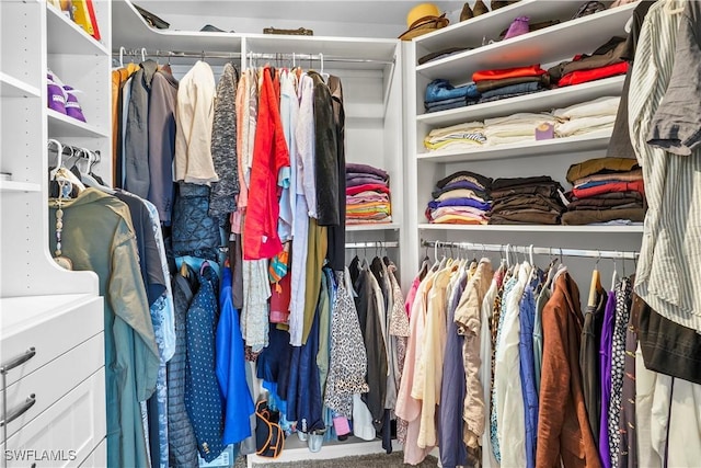 view of walk in closet