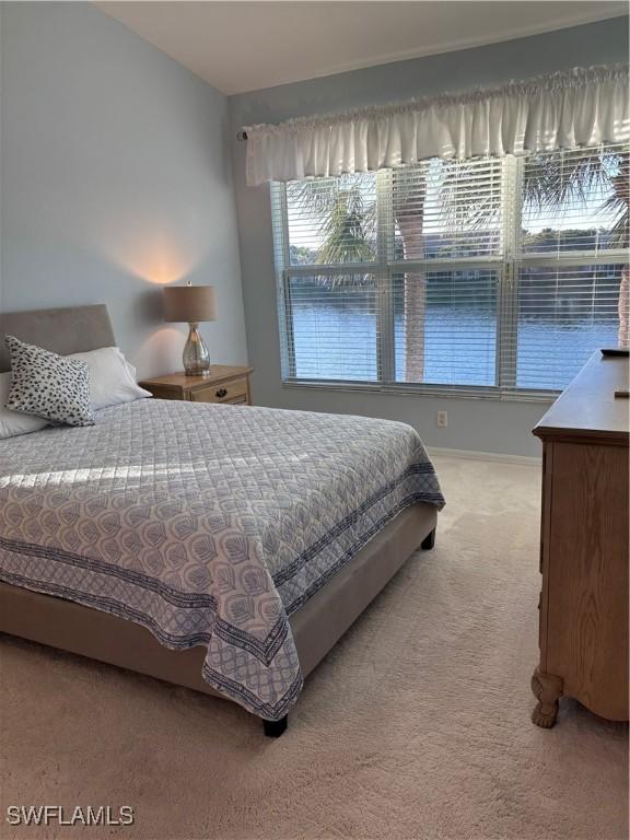 bedroom featuring carpet