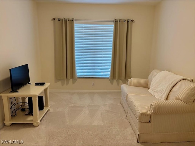 sitting room with carpet floors