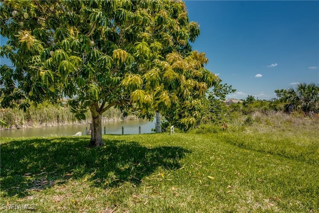 view of yard featuring a water view