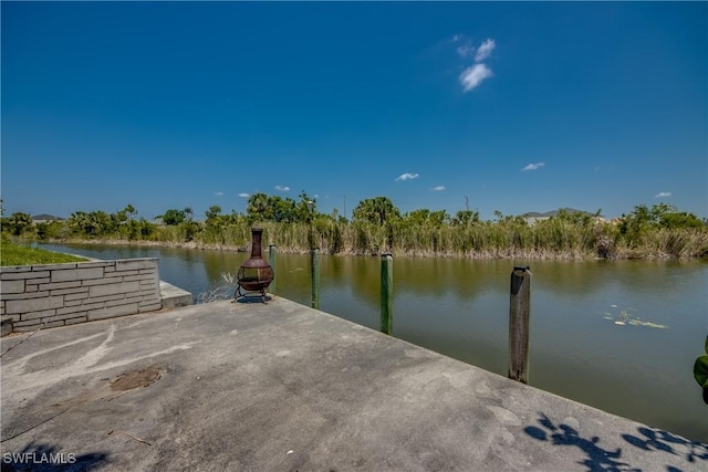 dock area with a water view