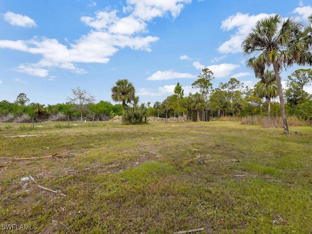 view of yard featuring a rural view