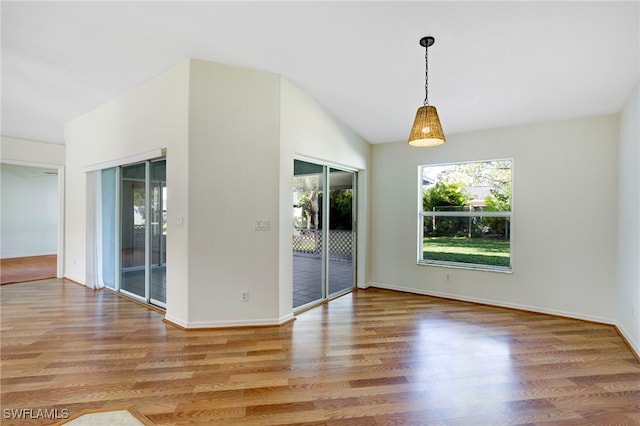 spare room featuring wood-type flooring