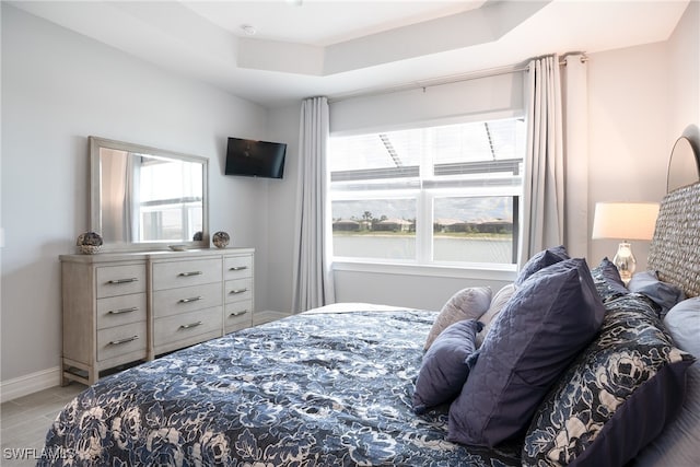 bedroom featuring a raised ceiling