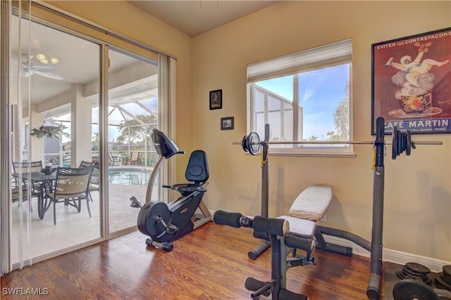 exercise room featuring hardwood / wood-style flooring and ceiling fan