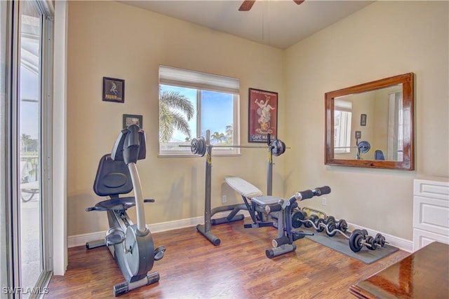 workout room featuring hardwood / wood-style flooring and ceiling fan