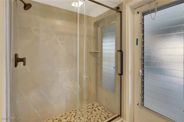 bathroom featuring a shower with shower door