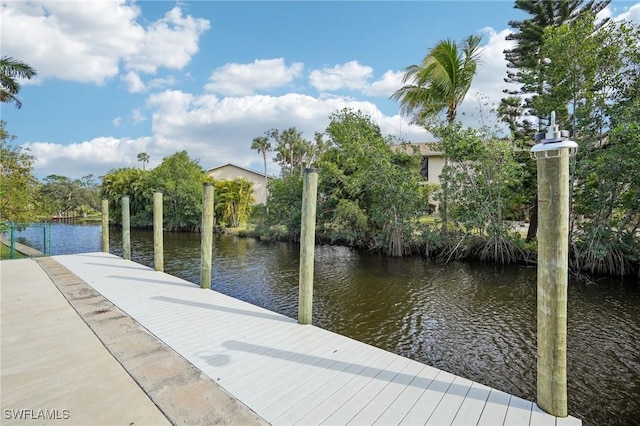 dock area with a water view