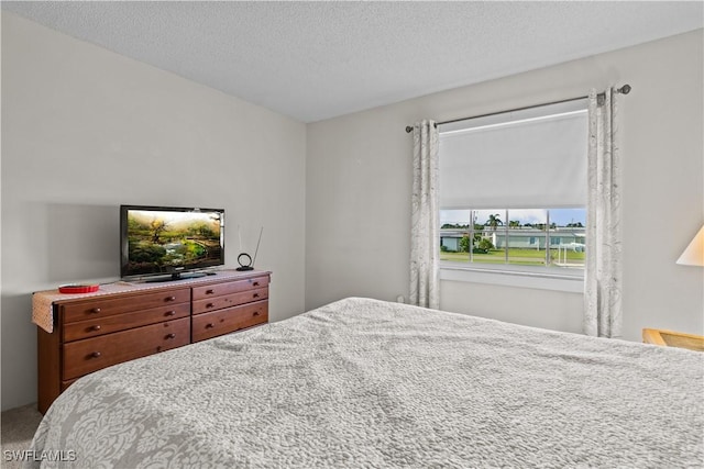 bedroom featuring a textured ceiling