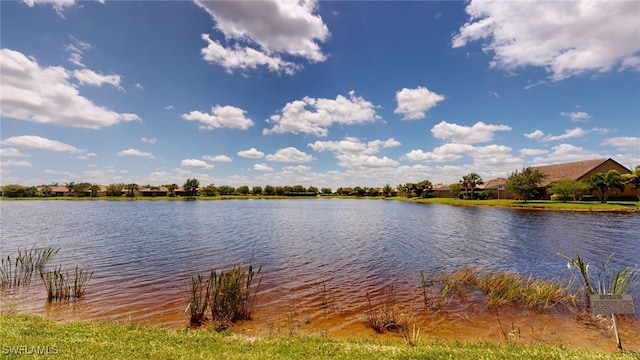 property view of water