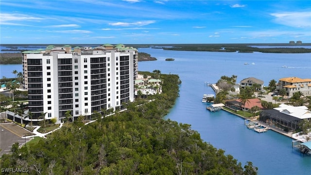 bird's eye view with a water view