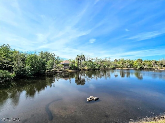 property view of water