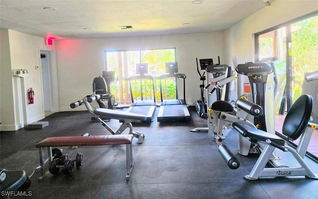 exercise room with a wealth of natural light