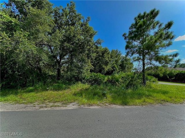 4519 4th St W, Lehigh Acres FL, 33971 land for sale