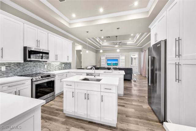 kitchen featuring white cabinetry, sink, appliances with stainless steel finishes, and a tray ceiling