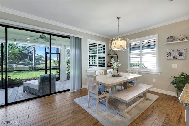 dining space with hardwood / wood-style floors, ceiling fan, and crown molding