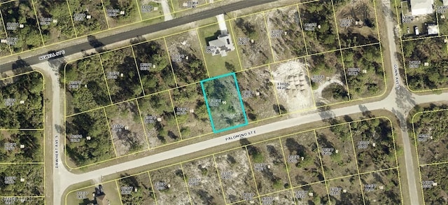 815 Palomino St E, Lehigh Acres FL, 33974 land for sale