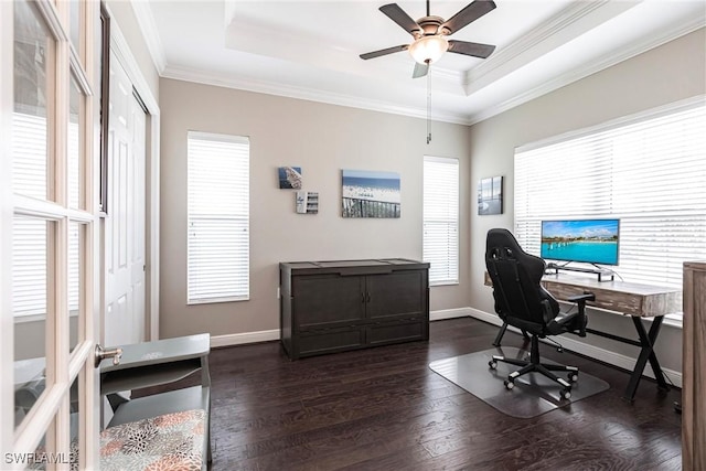 office space with dark hardwood / wood-style flooring, a tray ceiling, ceiling fan, and crown molding